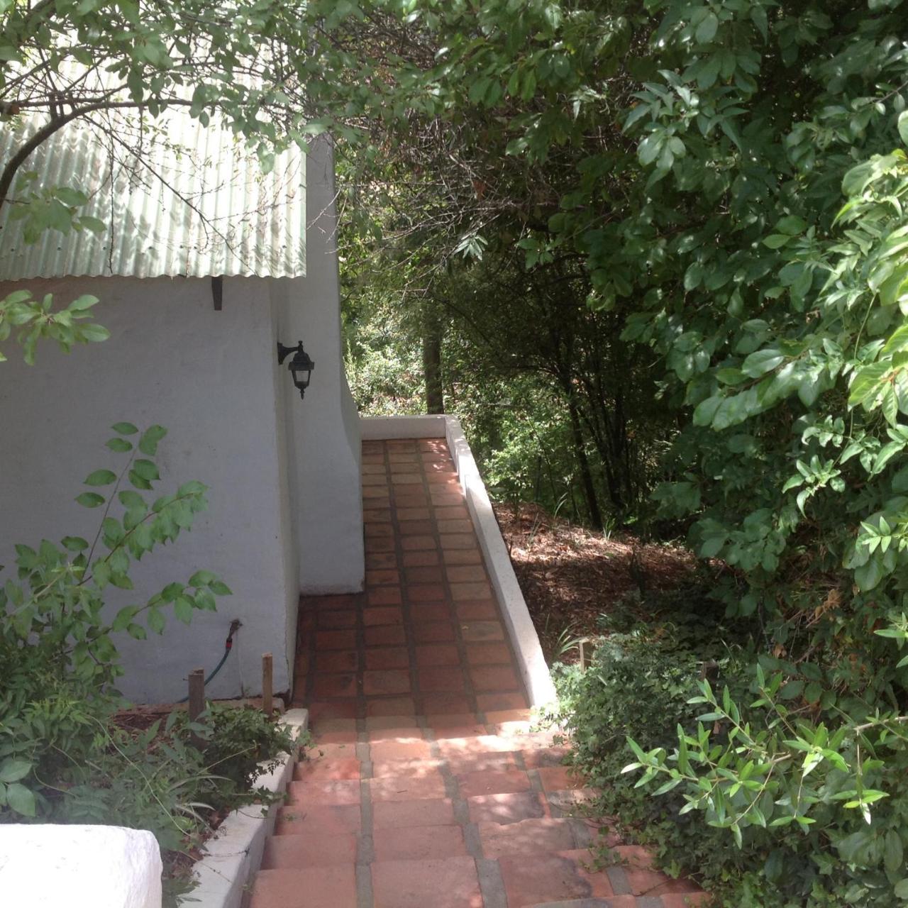 Little Willow Brooke Franschhoek Bagian luar foto