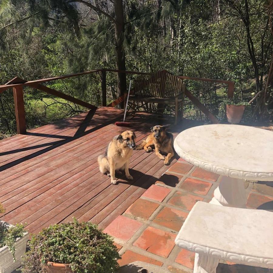 Little Willow Brooke Franschhoek Bagian luar foto